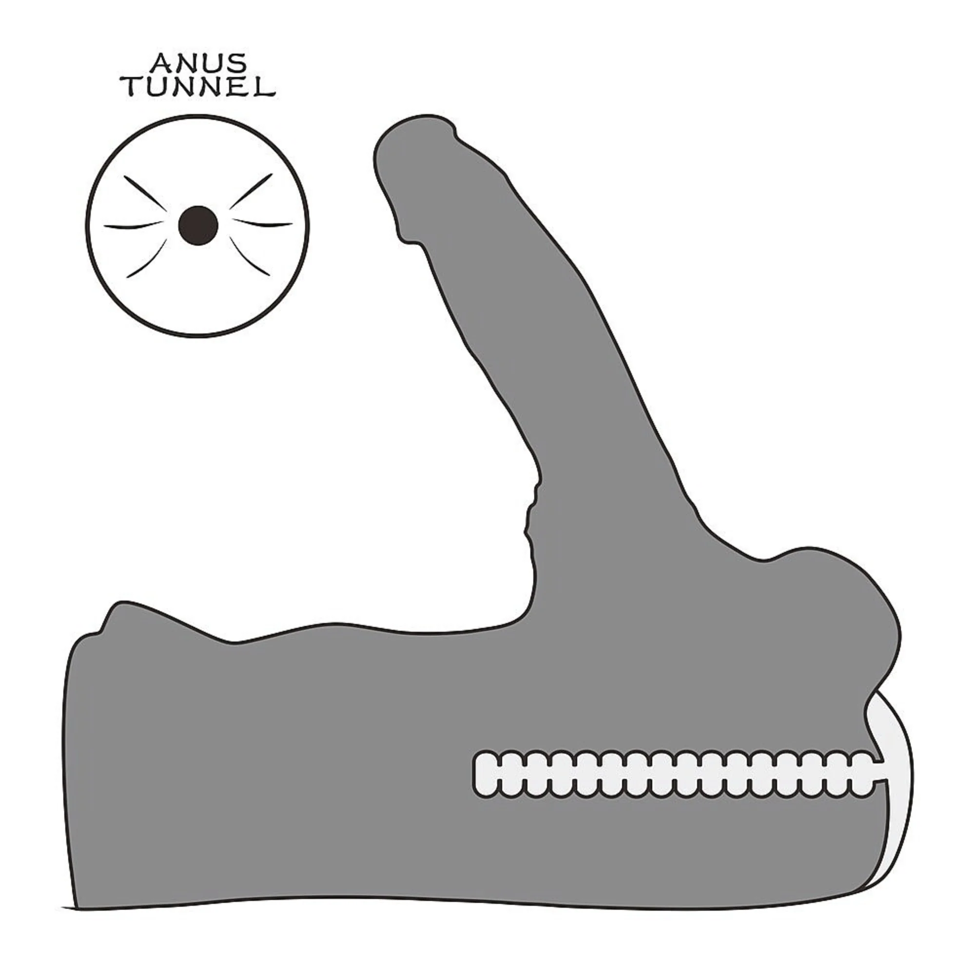 Male Torso Masturbator with Rideable Cock & Textured Ass - Perfect For Both Men & Women! - Image 10